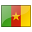 Cameroon Flag