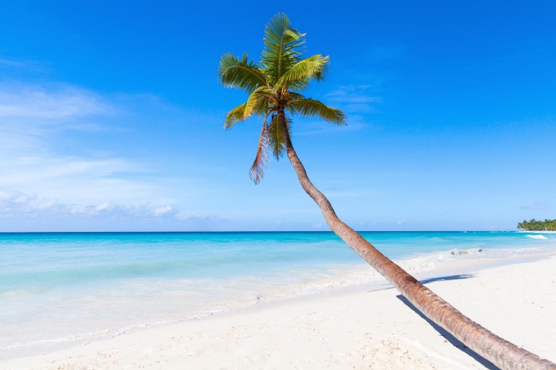 Dominican Republic Scene