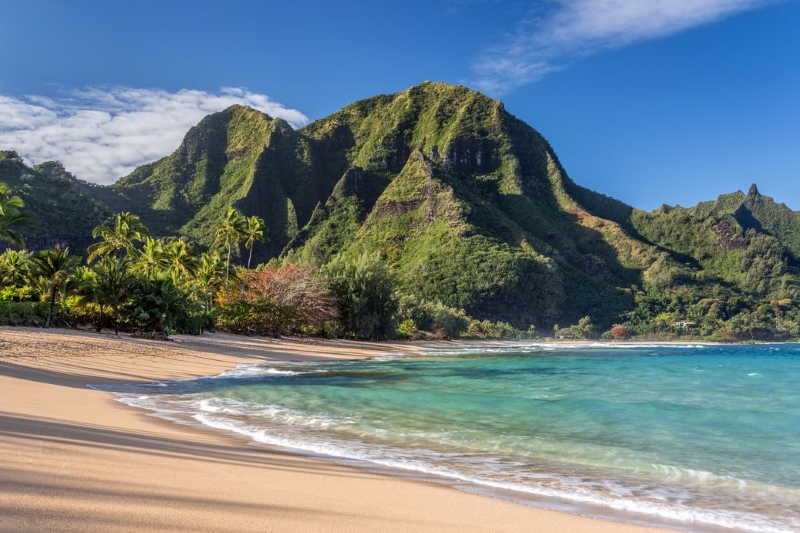 Hawaii Scene